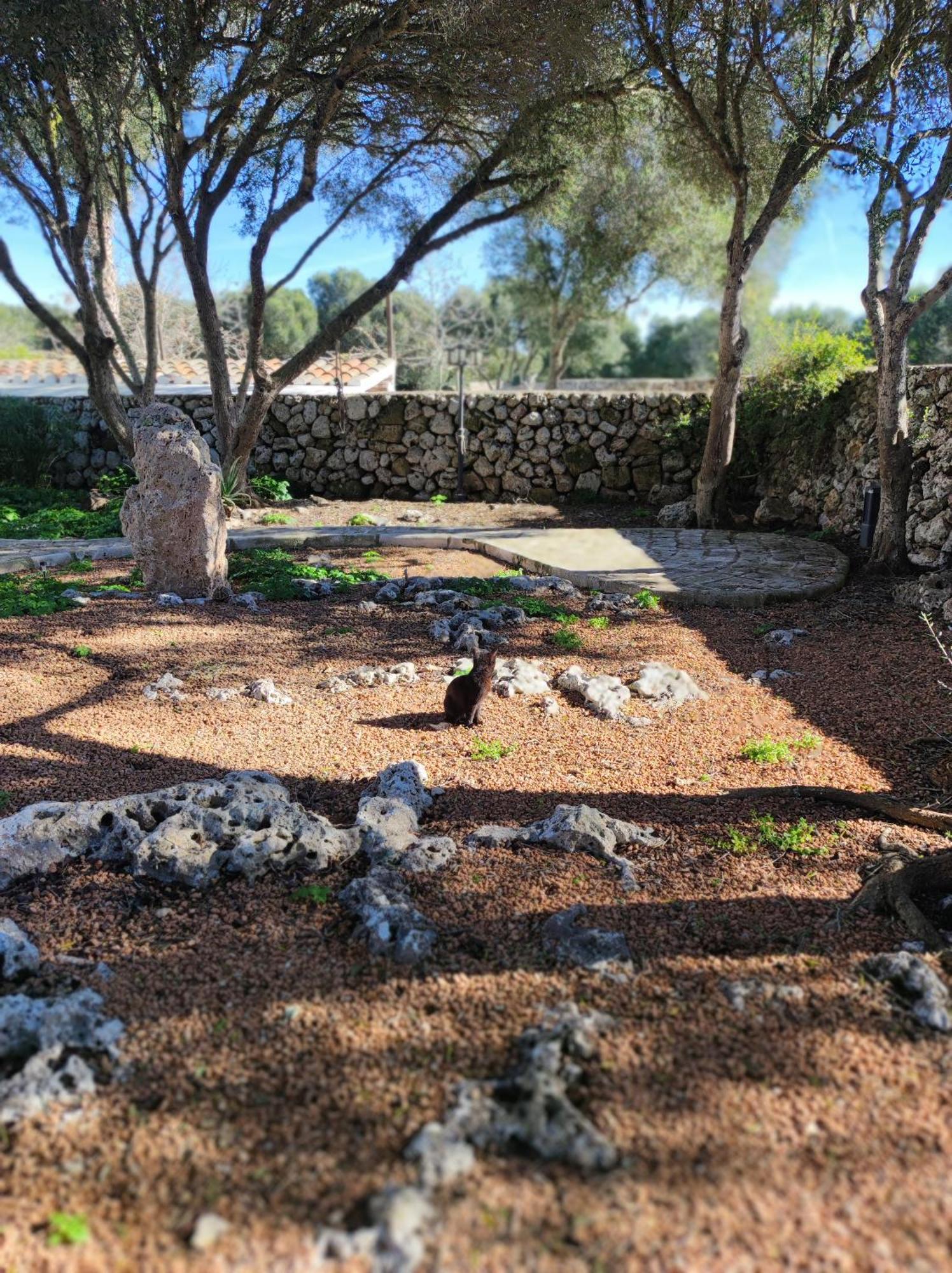 Turismo Rural Biniati Des Pi Sant Lluis Kültér fotó