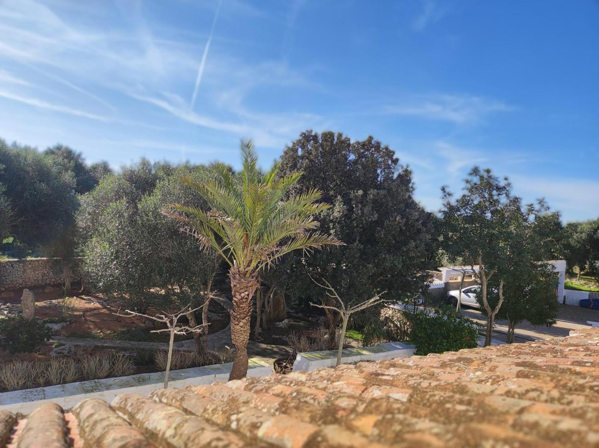 Turismo Rural Biniati Des Pi Sant Lluis Kültér fotó